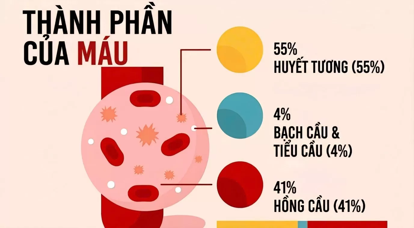 Xét nghiệm tổng phân tích tế bào máu ngoại vi
