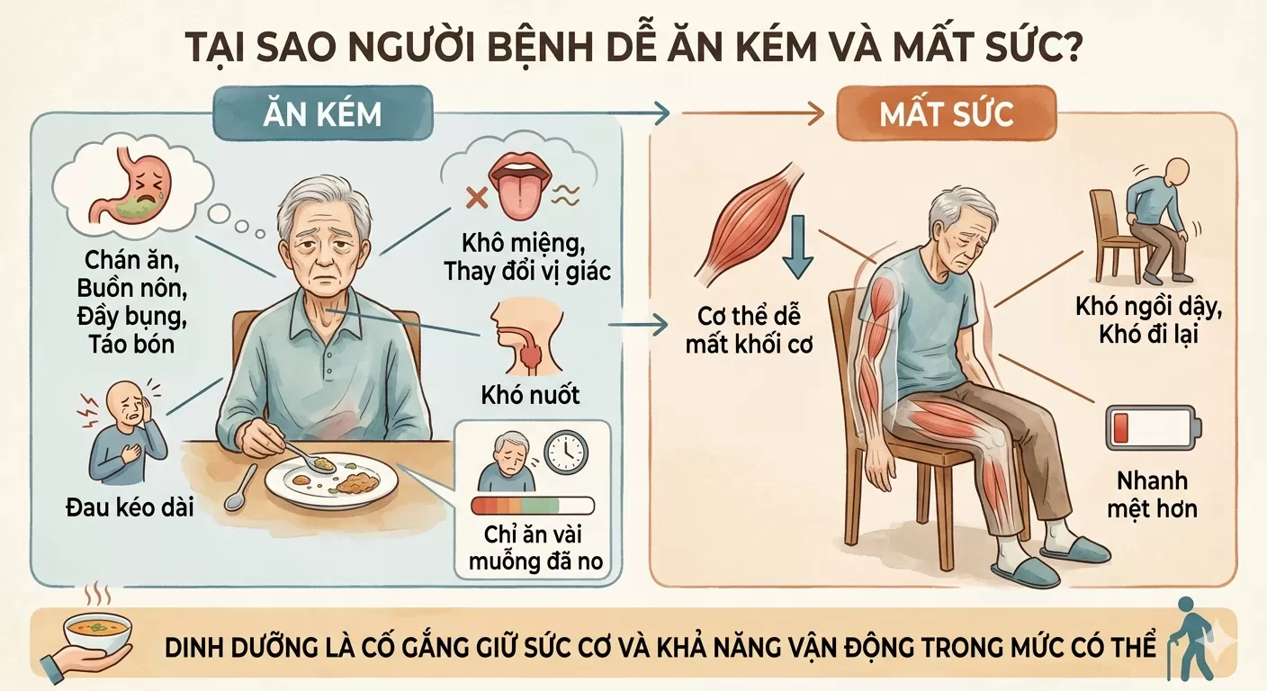 Dinh dưỡng cho người bệnh ung thư giai đoạn cuối: Giữ sức, giảm suy mòn