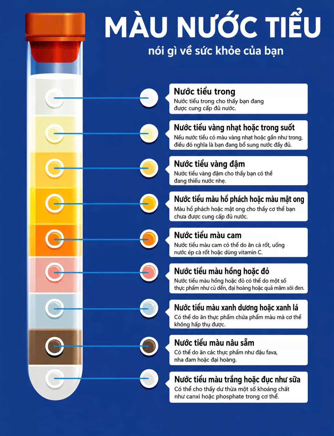 Xét nghiệm tổng phân tích nước tiểu