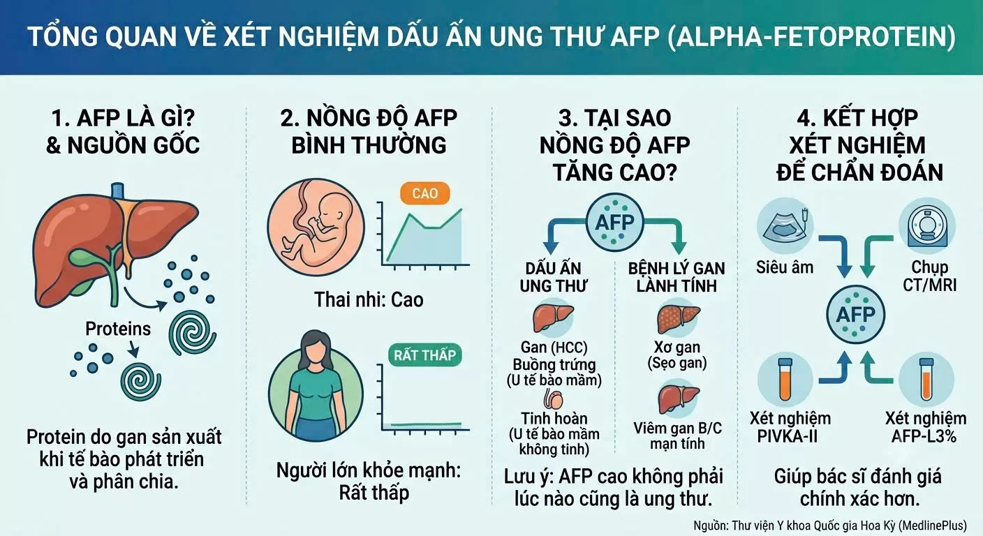 Xét nghiệm dấu ấn ung thư Alpha Fetoprotein (AFP)