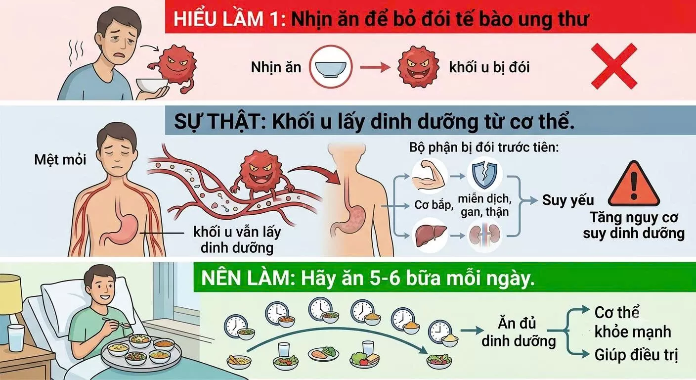 7 hiểu lầm về dinh dưỡng trong ung thư