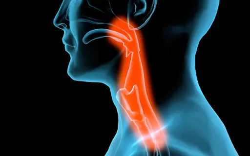 Gói khám sức khỏe định kỳ và phát hiện sớm ung thư đầu cổ